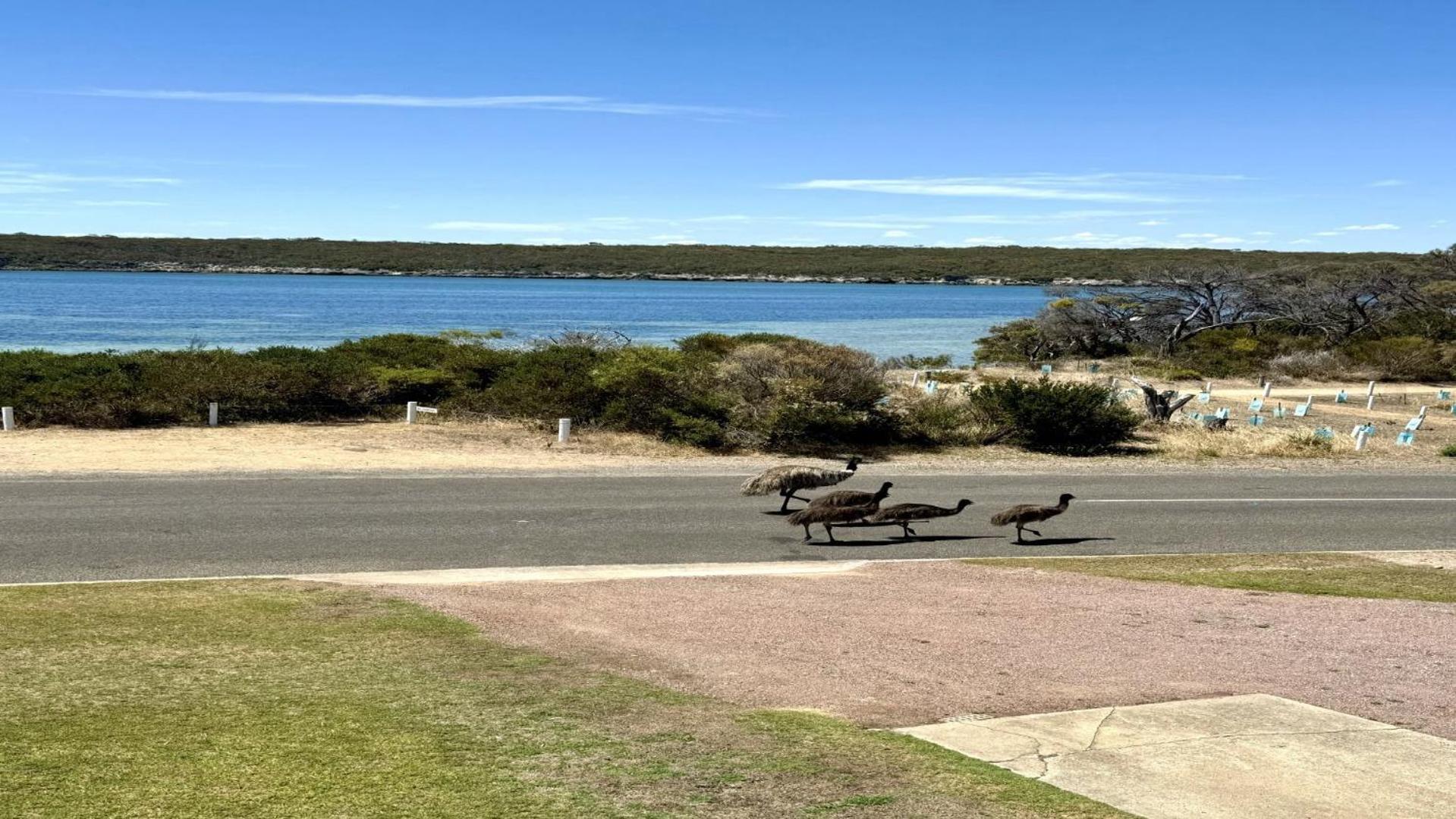 White Springs, Our Peaceful Holiday House In Coffin Bay Extérieur photo